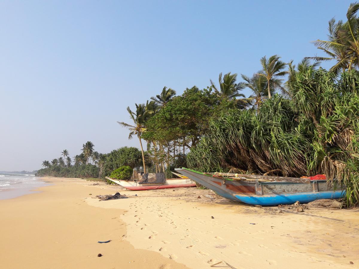 Leatherback Beach Villa Ahungalla Eksteriør bilde